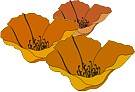 Tierra Bella home page